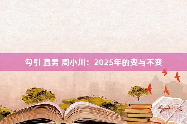 勾引 直男 周小川：2025年的变与不变