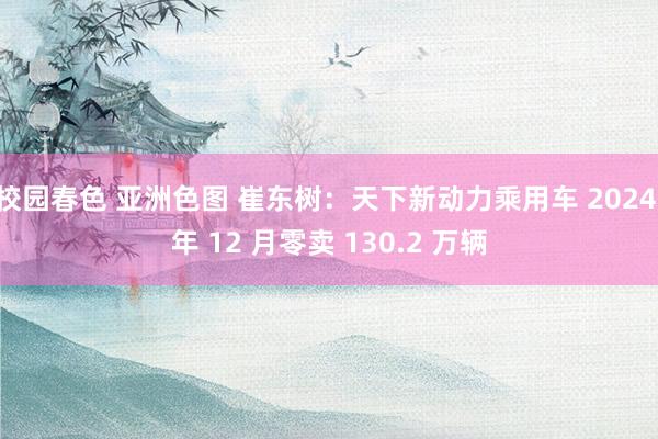 校园春色 亚洲色图 崔东树：天下新动力乘用车 2024 年 12 月零卖 130.2 万辆