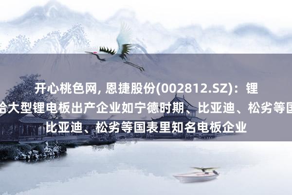 开心桃色网， 恩捷股份(002812.SZ)：锂电板隔阂主要供应给大型锂电板出产企业如宁德时期、比亚迪、松劣等国表里知名电板企业