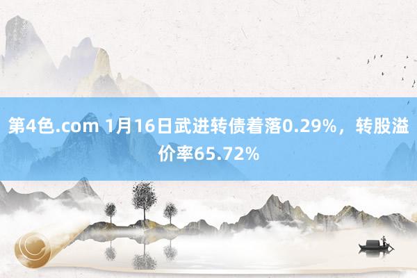 第4色.com 1月16日武进转债着落0.29%，转股溢价率65.72%