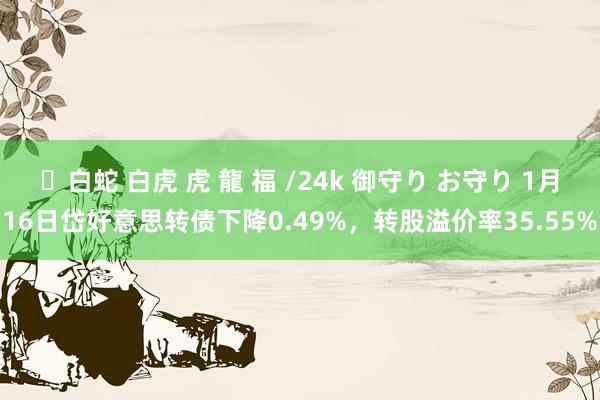 ✨白蛇 白虎 虎 龍 福 /24k 御守り お守り 1月16日岱好意思转债下降0.49%，转股溢价率35.55%